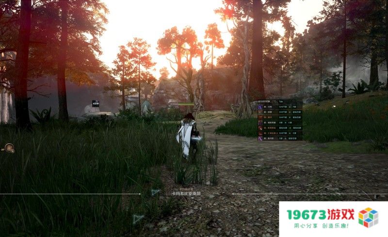 黑色沙漠端游国服首测火热，RPG游戏又迎来新的春天？