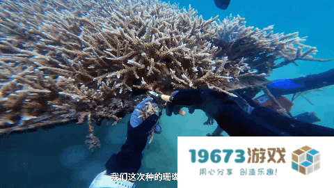 七年了，这款二游为啥还能挤进满是怪物的iOS畅销榜TOP10？