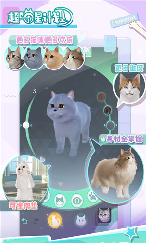 超喵星计划