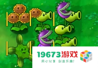 植物大战僵尸原版经典版