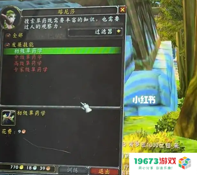 wow不仅仅是个开始 WOW更是无尽探险与奇遇的起点