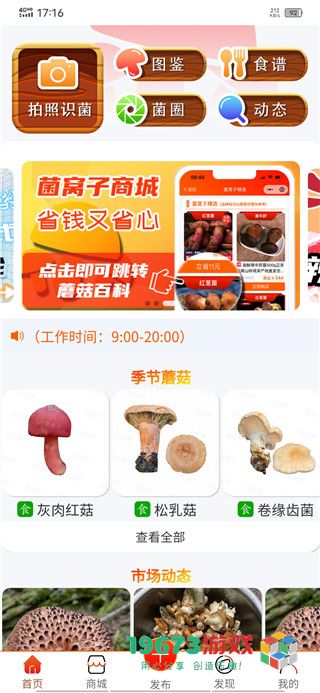 菌窝子下载-菌窝子手机版下载