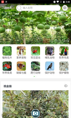 拍照识万物2024最新版下载-拍照识万物正版下载