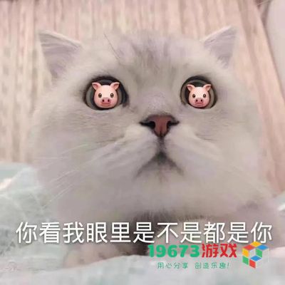 不干活就没饭吃背景图-不干活就没饭吃大字图片（暂未上线）