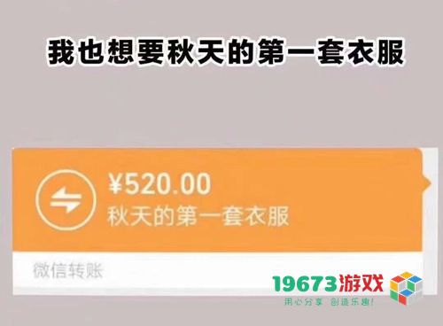 我想要秋天第一杯奶茶什么意思-我想要秋天第一杯奶茶意思、表情包（暂未上线）