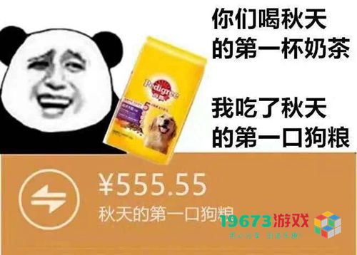 我想要秋天第一杯奶茶什么意思-我想要秋天第一杯奶茶意思、表情包（暂未上线）
