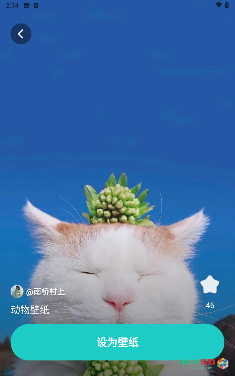 青藤壁纸2024最新版下载-青藤壁纸中文版下载