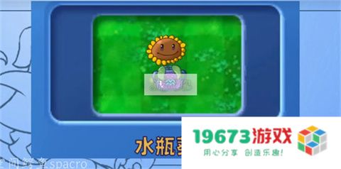 植物大战僵尸星座版
