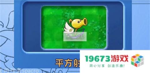 植物大战僵尸星座版