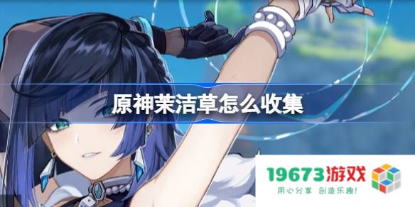 原神茉洁草怎么收集：这几条小妙招让你轻松获取！