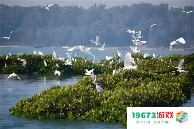 海南陵水成投资热钱新沃土 新老出海人在这里开启人生下半场
