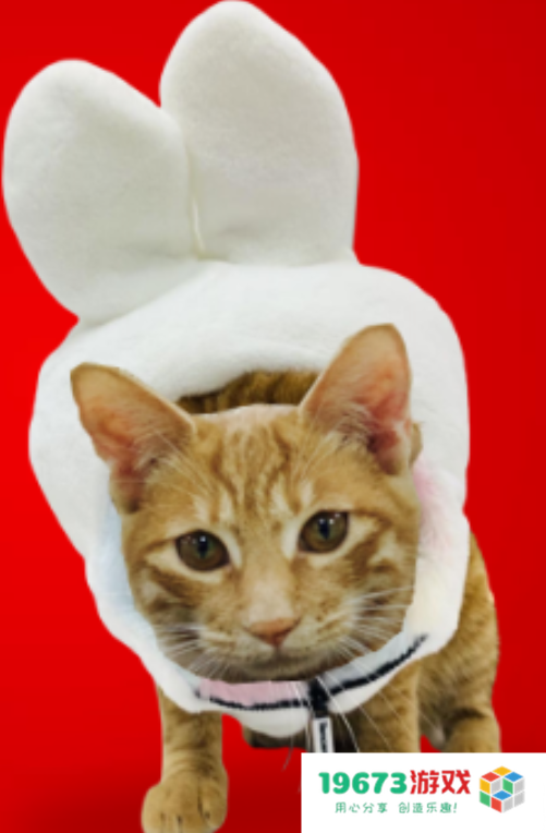 超400家游戏公司礼盒都长什么样？2023年新春礼盒大揭秘