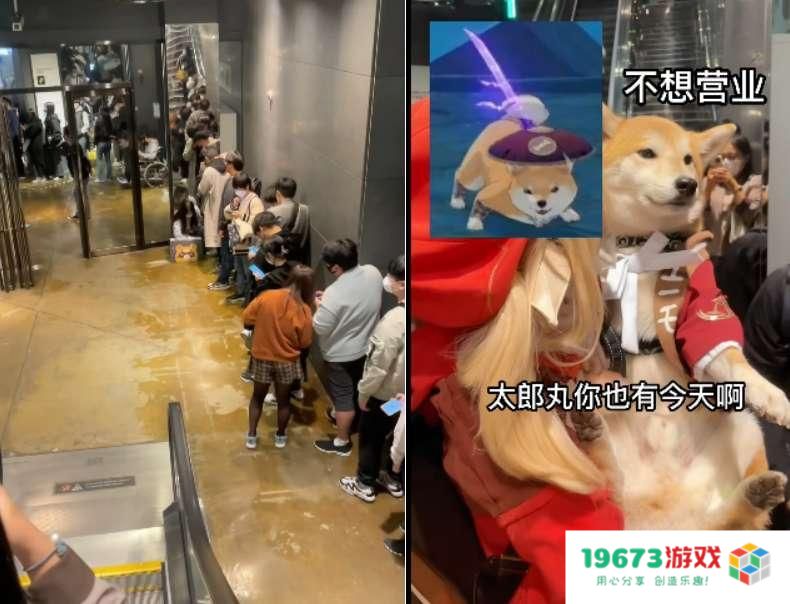 原神独家赞助韩国男团选秀，节目里都是原石，观众：有男Coser吗？